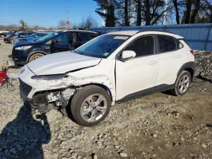 Hyundai Kona 2.0L 4 2022