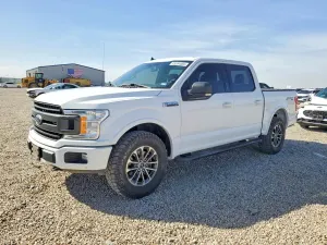 Ford F-150 5.0L 8 2019