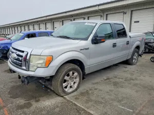 Ford F-150 4.6L 8 2009