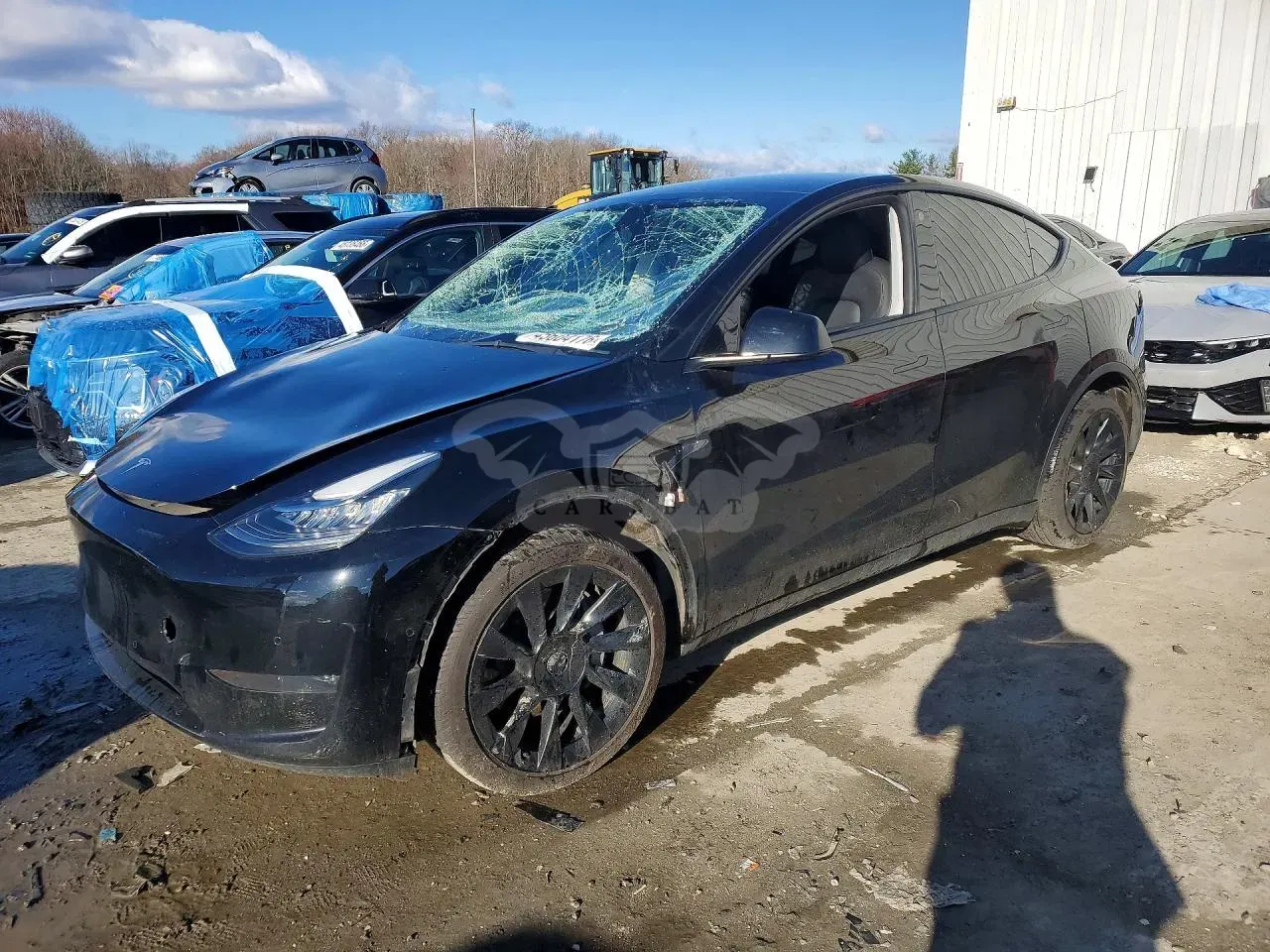 Tesla Model Y 2022