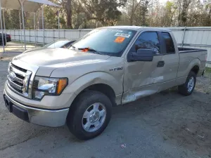 Ford F-150 4.6L 8 2009