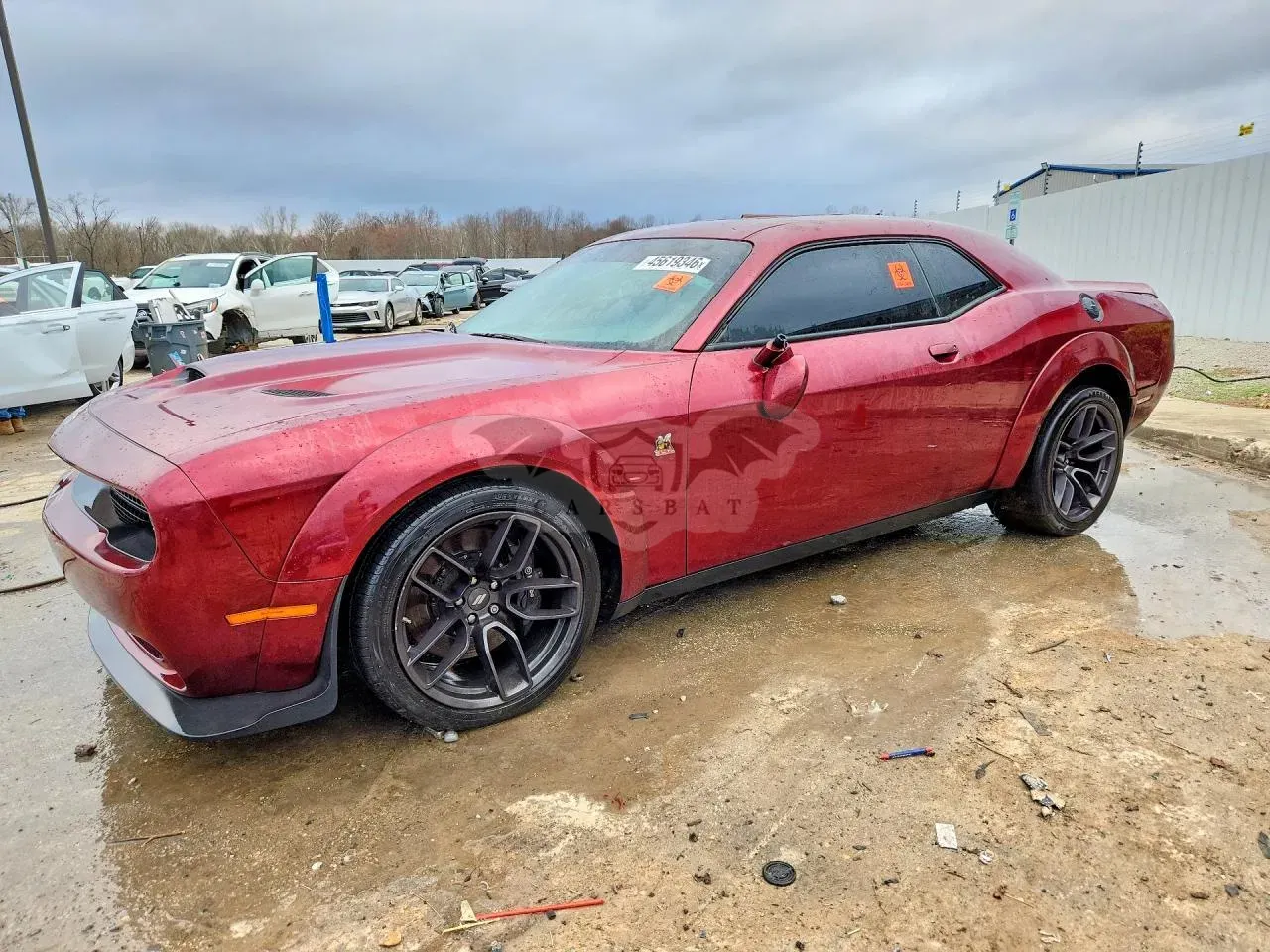 Dodge Challenger 6.4L 8 2019