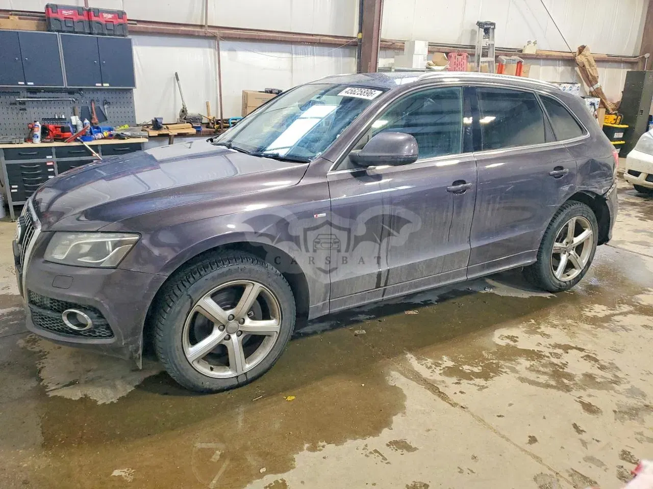 Audi Q5 2010