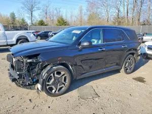 Hyundai Palisade 3.8L 6 2024