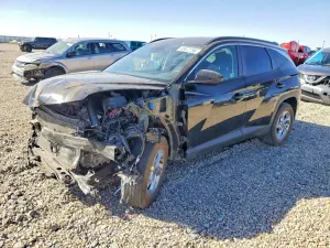 Hyundai Tucson 2.5L 4 2024