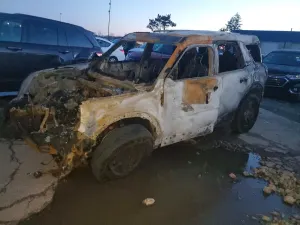 Ford Bronco 1.5L 3 2023