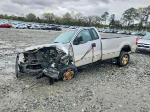 Ford F-150 4.6L 8 2005