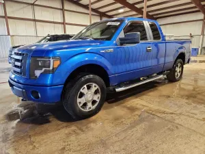 Ford F-150 4.6L 8 2010