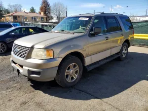 Ford Expedition 4.6L 8 2003