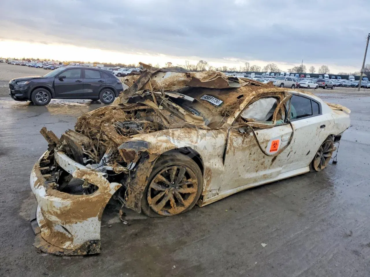 Dodge Charger 5.7L 8 2019
