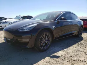 Tesla Model 3 2019