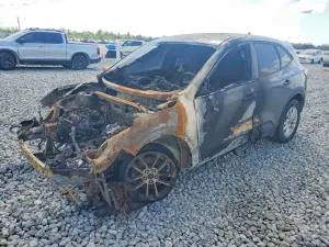 Ford Escape 1.5L 3 2022
