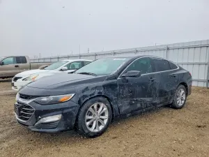 Chevrolet Malibu 1.5L 4 2019
