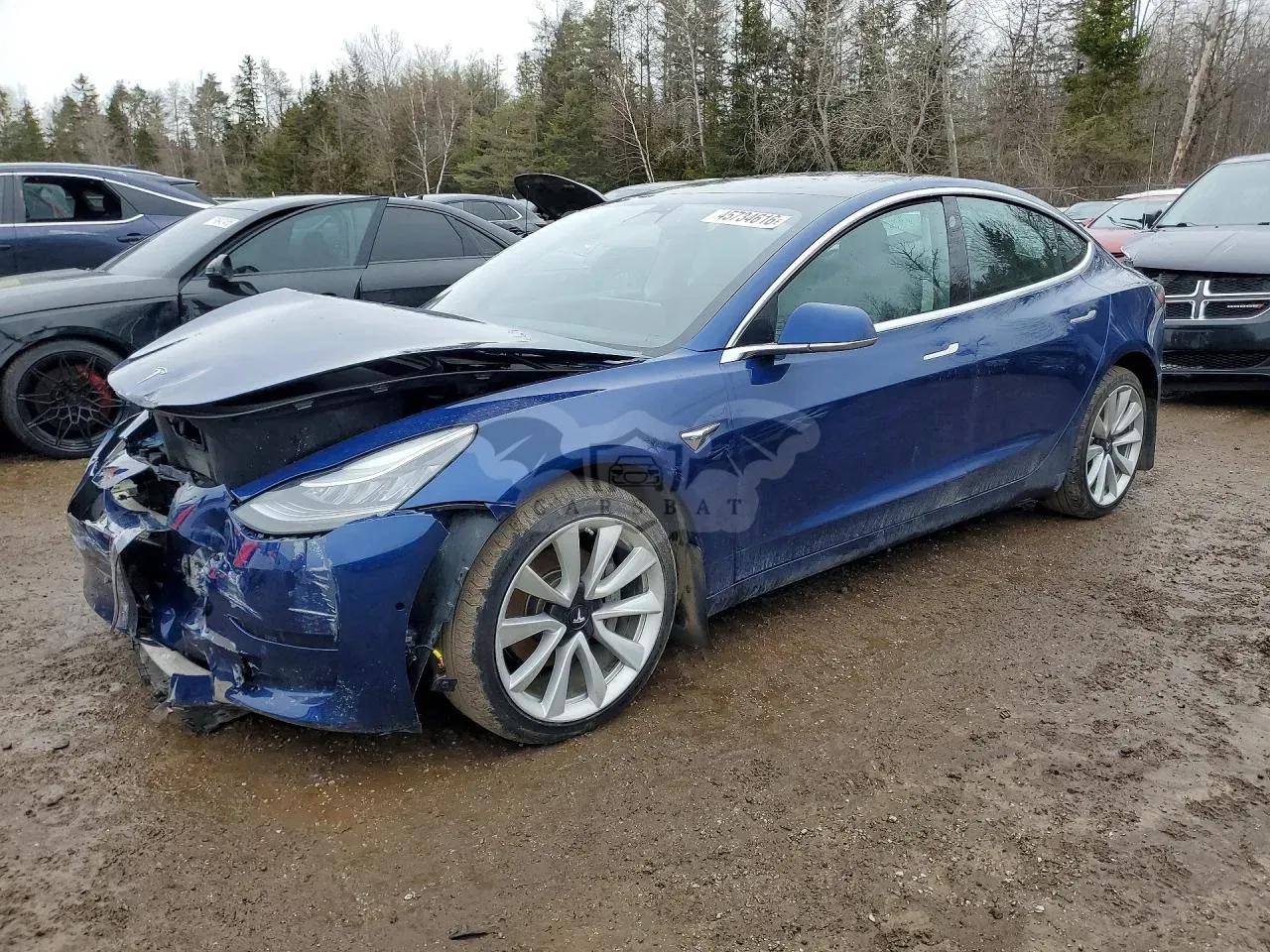 Tesla Model 3 2020