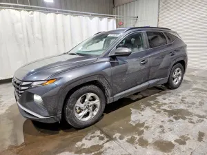 Hyundai Tucson 2.5L 4 2024