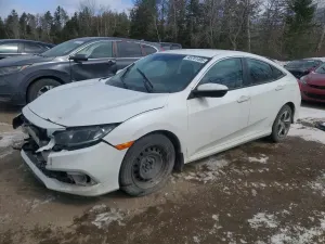 Honda Civic 2.0L 4 2019