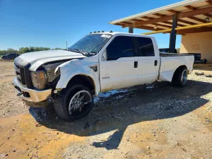 Ford F-250 6.0L 8 2006