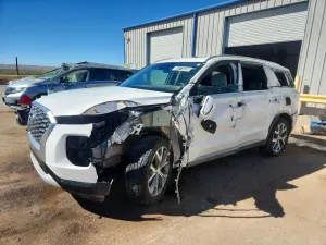 Hyundai Palisade 3.8L 6 2020