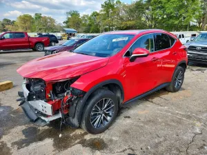 Lexus NX 2.5L 4 2024