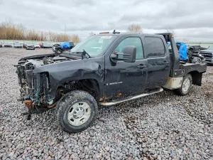 Chevrolet Silverado 1500 6.6L 8 2009
