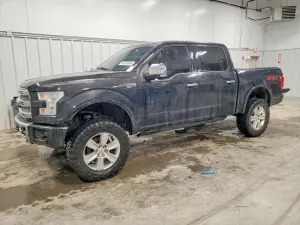 Ford F-150 5.0L 8 2015