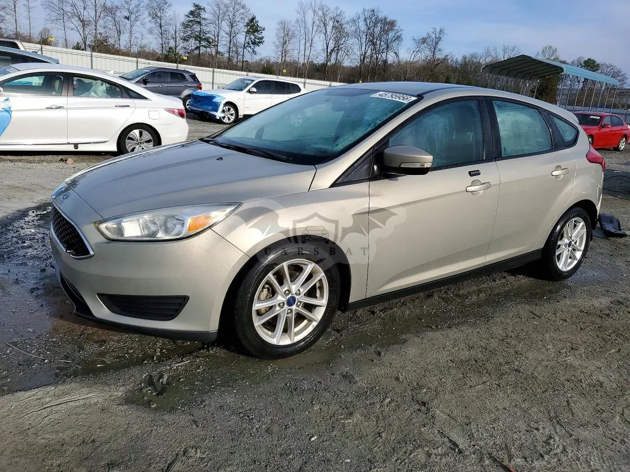 Ford Focus 2.0L 4 2016