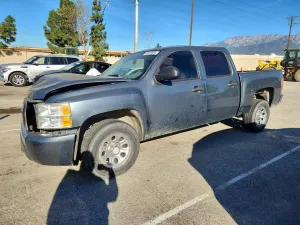 Chevrolet Silverado 1500 4.8L 8 2007