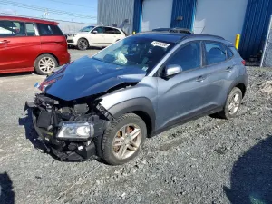 Hyundai Kona 2.0L 4 2019