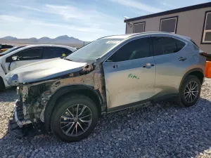 Lexus NX 2.4L 4 2024