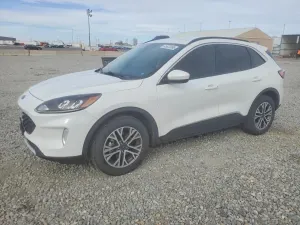 Ford Escape 1.5L 3 2021
