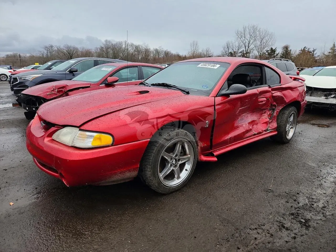 Ford Mustang 4.6L 8 1996