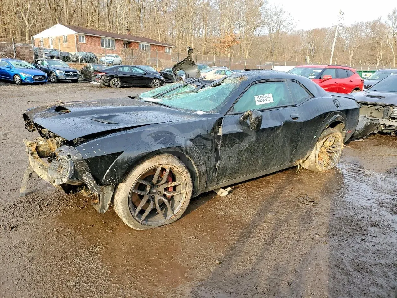 Dodge Challenger 6.4L 8 2021