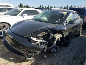 Tesla Model 3 2019