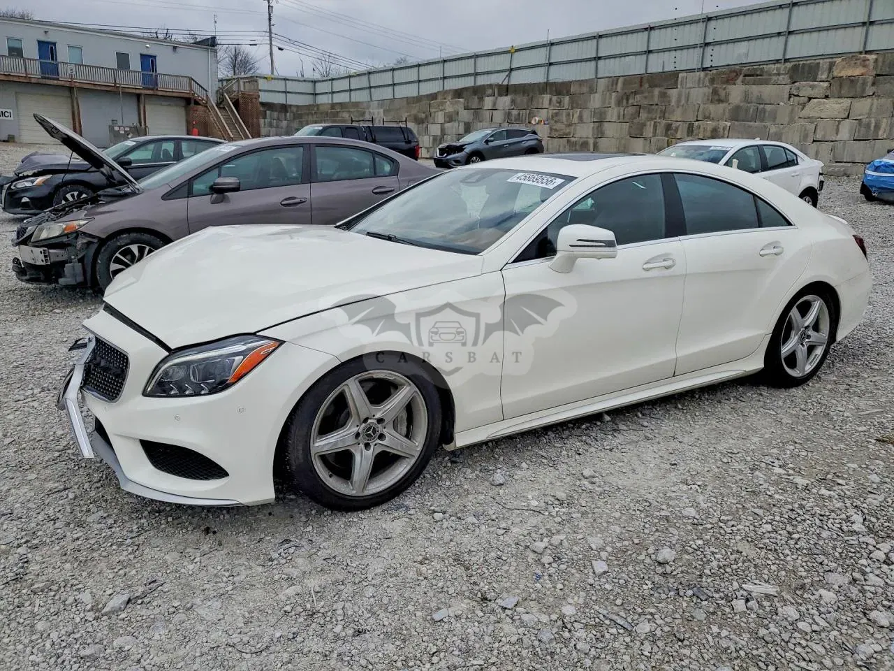 Mercedes-Benz CLS 4.6L 8 2017