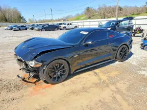 Ford Mustang 5.0L 8 2019
