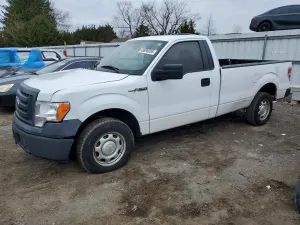 Ford F-150 4.6L 8 2010