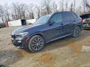 BMW X5 4.4L 8 2019
