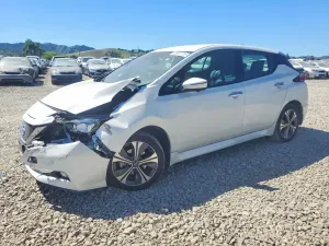 Nissan Leaf 0.0L 0 2020