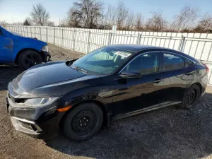 Honda Civic 2.0L 4 2020