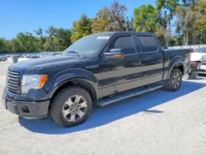 Ford F-150 4.6L 8 2010
