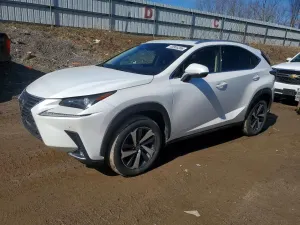 Lexus NX 2.0L 4 2019