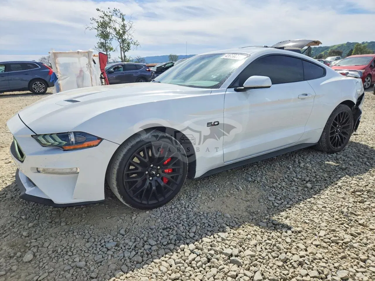 Ford Mustang 5.0L 8 2018