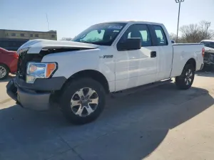 Ford F-150 4.6L 8 2009