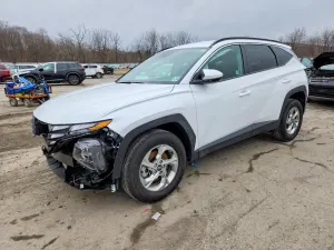 Hyundai Tucson 2.5L 4 2024