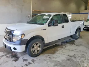 Ford F-150 4.6L 8 2009