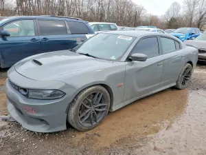Dodge Charger 6.4L 8 2019