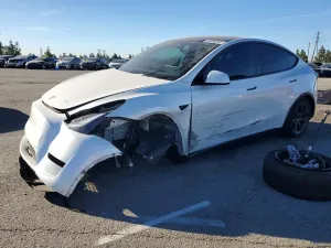 Tesla Model Y 2025