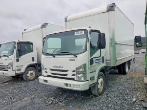 Isuzu NPR 6.0L 8 2020