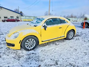 Volkswagen Beetle 1.8L 4 2015