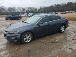 Chevrolet Malibu 1.5L 4 2019